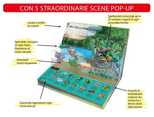 La foresta pluviale. Un viaggio dai fiume alle cime degli alberi. Ediz. a colori - 2