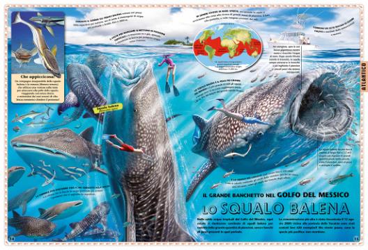 Atlante degli oceani. Ediz. a colori - Consuelo Delgado - 4