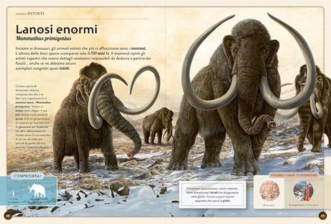 Il magnifico libro degli animali estinti - Eliseo García Nieto - 4