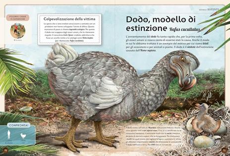 Il magnifico libro degli animali estinti - Eliseo García Nieto - 5