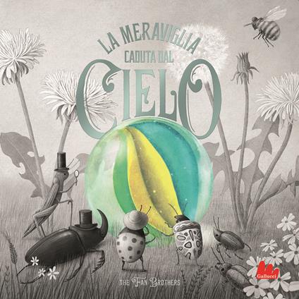 La meraviglia caduta dal cielo. Ediz. a colori - The fan brothers - copertina
