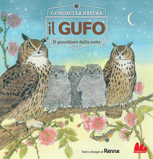 Il gufo. Il guardiano della notte. Conosci la natura. Nuova ediz. - Renne - copertina
