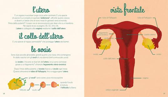 Il mio primo libro dell'intimità. Lei - Mathilde Baudy,Tiphaine Dieumegard - 3