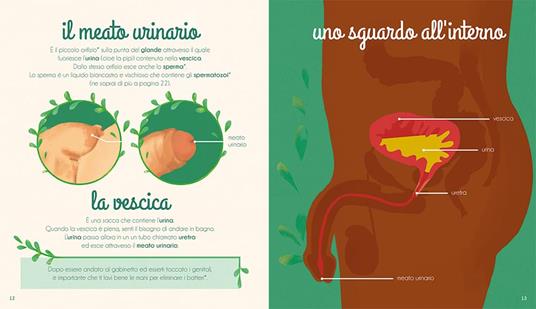 Il mio primo libro dell'intimità. Lui - Mathilde Baudy,Tiphaine Dieumegard - 3