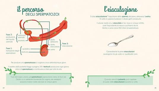 Il mio primo libro dell'intimità. Lui - Mathilde Baudy,Tiphaine Dieumegard - 4