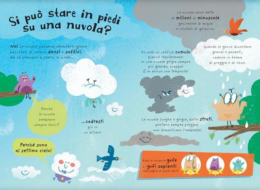 Si può toccare l'arcobaleno? E tante altre fantastiche curiosità sul nostro pianeta! Ediz. a colori - Sue Nicholson - 2