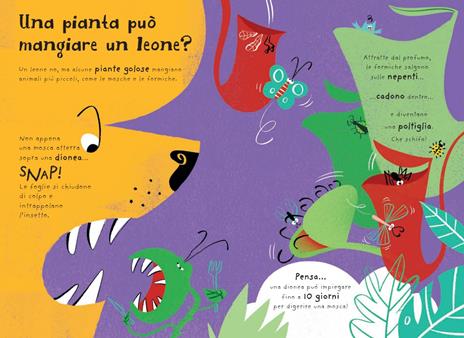 Si può toccare l'arcobaleno? E tante altre fantastiche curiosità sul nostro pianeta! Ediz. a colori - Sue Nicholson - 3