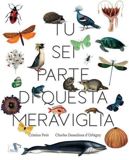 Tu sei parte di questa meraviglia - Cristina Petit - copertina
