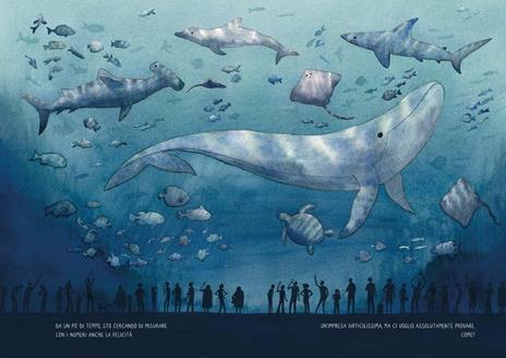 Conto fino a te. Ediz. a colori - Daniele Bergesio - 2