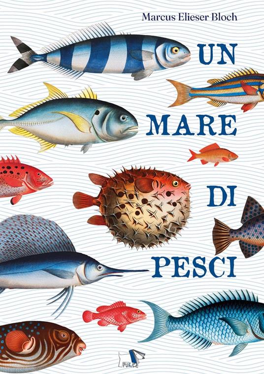 Un mare di pesci. Ediz. a colori - Marcus Elieser Bloch - copertina
