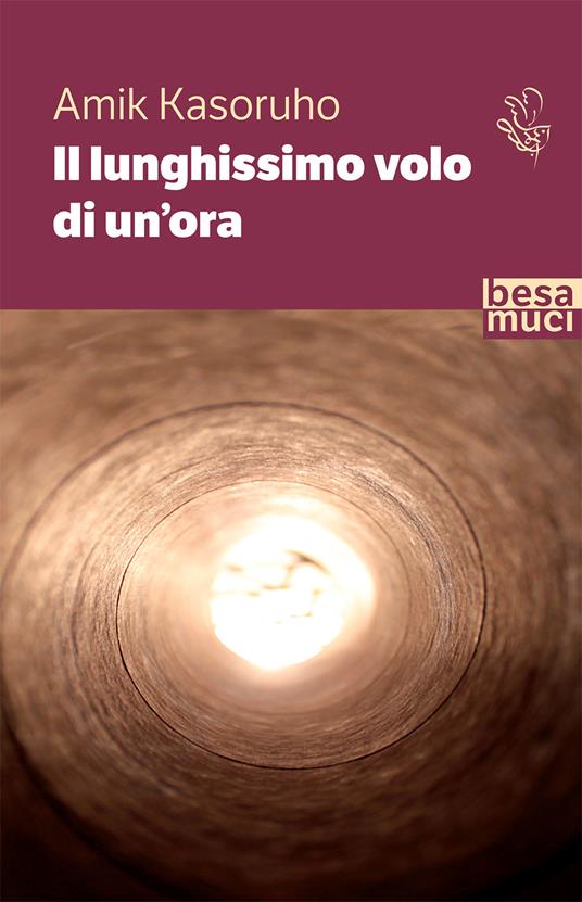 Il lunghissimo volo di un'ora - Amik Kasoruho - copertina