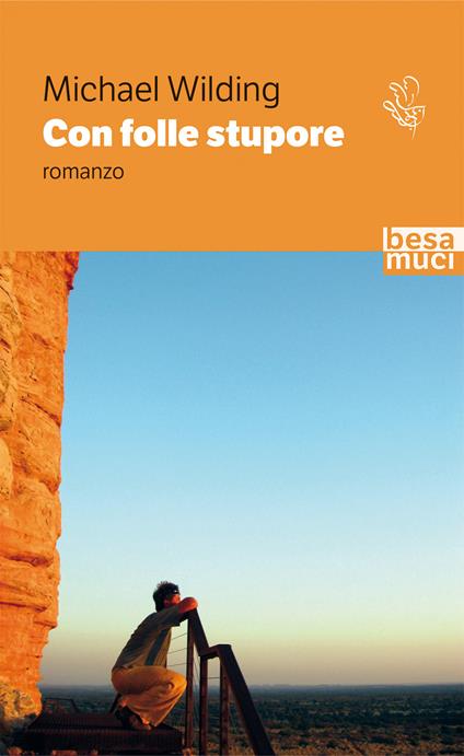 Con folle stupore - Michael Wilding - copertina