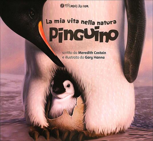 Pinguino - Meredith Costain - 2