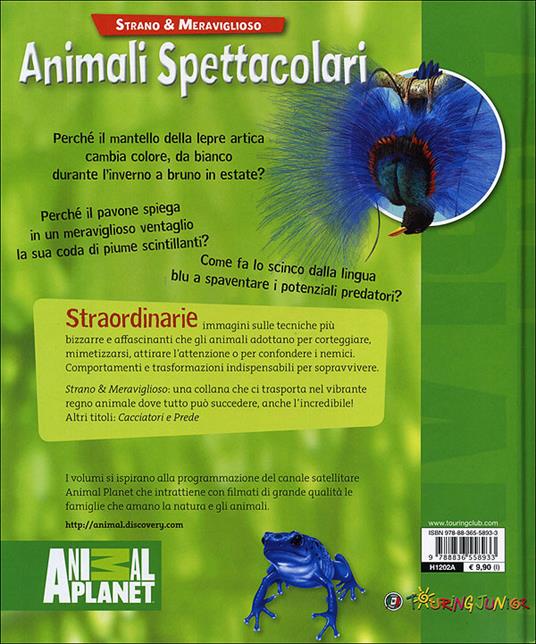 Animali spettacolari - Margaret McPhee - 4