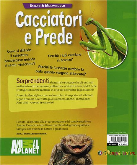 Cacciatori e prede - Kathy Riley - 4