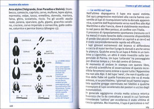 Viaggiare a piedi. Tutti i consigli per il trekking e l'escursionismo slow - Giorgio Kuts - 6