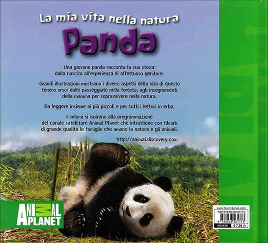 Panda - Meredith Costain - 3