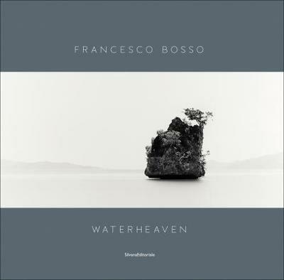 Francesco Bosso. Waterheaven. Catalogo della mostra (Torino, 18 aprile-26 maggio 2019). Ediz. italiana e inglese - Walter Guadagnini - copertina