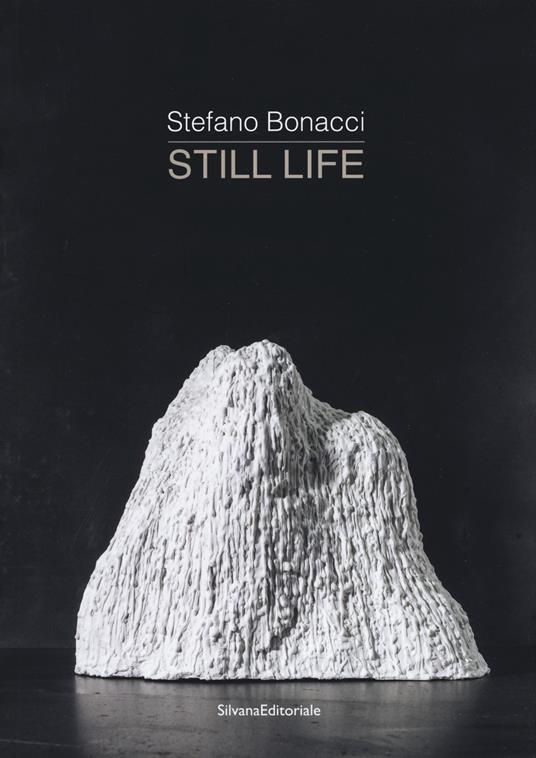Stefano Bonacci. Still life. Catalogo della mostra (Segrate, 30 marzo-30 aprile 2019). Ediz. illustrata - copertina