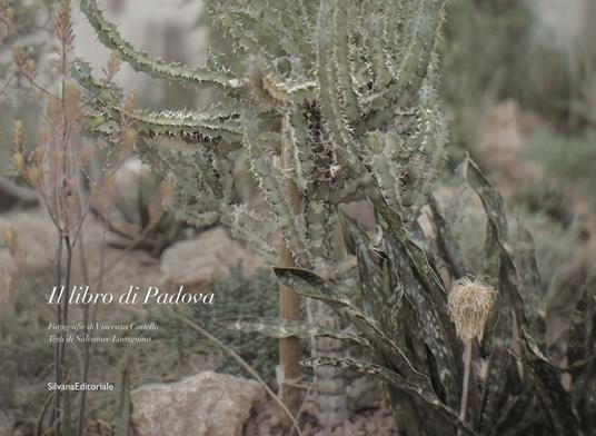 Il libro di Padova. Ediz. italiana e francese - Vincenzo Castella - copertina