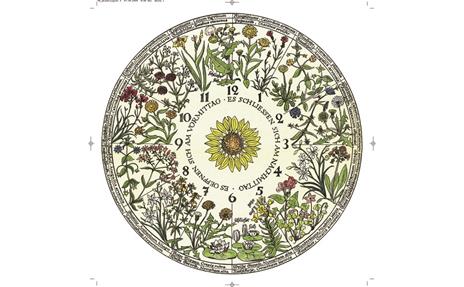 Flowers. Dal Rinascimento all'intelligenza artificiale. Ediz. italiana e inglese - 6