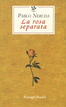 La rosa separata