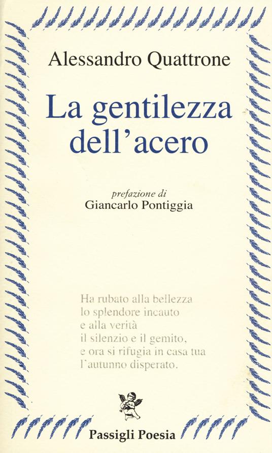 La gentilezza dell'acero - Alessandro Quattrone - copertina