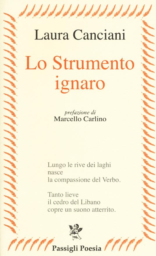 Lo strumento ignaro - Laura Canciani - copertina