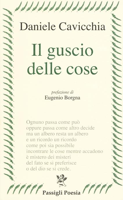 Il guscio delle cose - Daniele Cavicchia - copertina