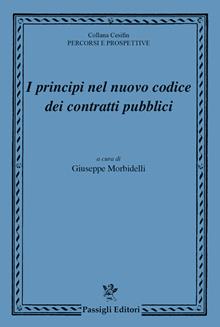 I principi nel nuovo codice dei contratti pubblici