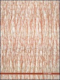 Ghada Amer. Catalogo della mostra (Roma, 25 maggio-30 settembre 2007). Ediz. italiana e inglese - copertina