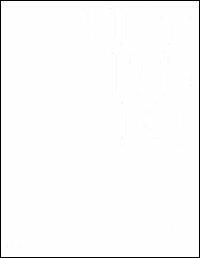 Untitled. The best of Galleria Cardi. Ediz. italiana e inglese - copertina