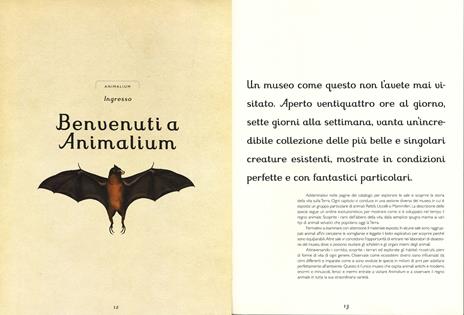 Animalium. Il grande museo degli animali. Ediz. illustrata - Katie Scott,Jenny Broom - 2