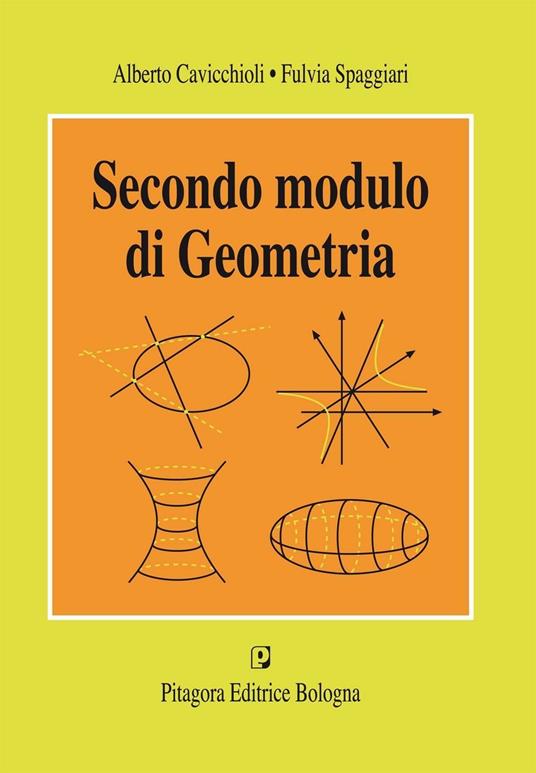 Secondo modulo di geometria - Alberto Cavicchioli,Fulvia Spaggiari - copertina