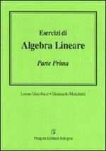 Esercizi di algebra lineare. Vol. 1