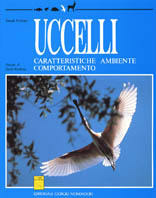 Piazza del Libro