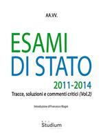 Esami di stato. Tracce, soluzioni e commenti critici. Vol. 2: Esami di stato. Tracce, soluzioni e commenti critici