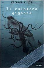 Il calamaro gigante