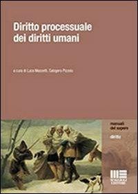 Diritto processuale dei diritti umani - Luca Mezzetti,Calogero Pizzolo - copertina