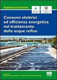 Consumi elettrici ed efficienza energetica del trattamento delle acque reflue - Massimiliano Campanelli,Paola Foladori,Mentore Vaccari - copertina