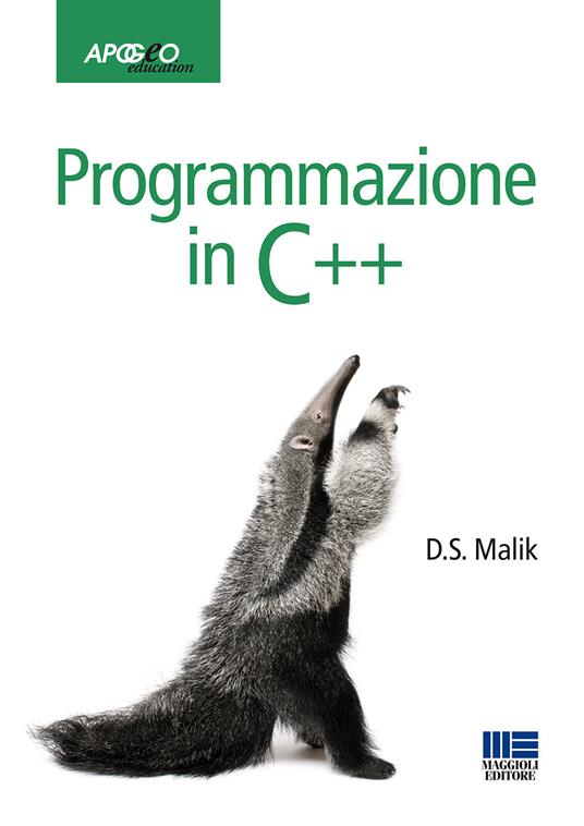 Programmazione in C++ - D. S. Malik - copertina