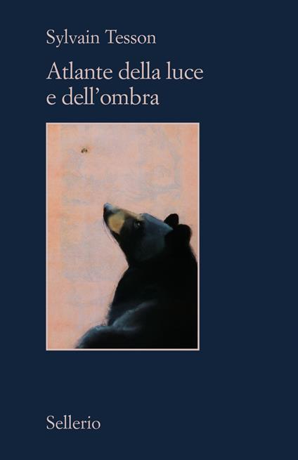 Atlante della luce e dell'ombra - Sylvain Tesson,Marina Di Leo - ebook