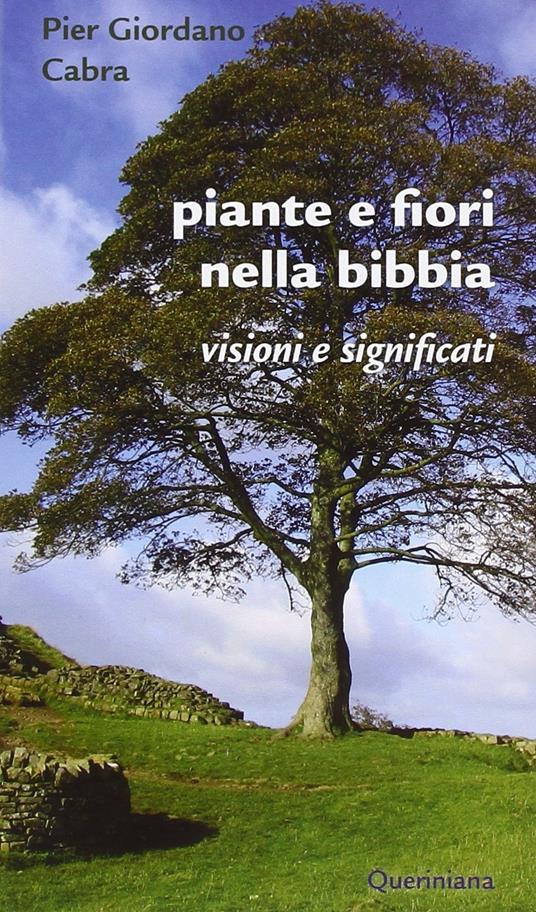 Piante e fiori nella Bibbia. Visioni e significati - Pier Giordano Cabra - copertina