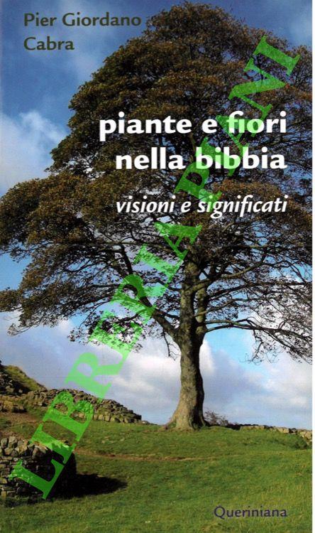 Libreria Piani