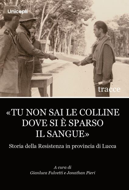 «Tu non sai le colline dove si è sparso il sangue». Storia della Resistenza in provincia di Lucca - copertina