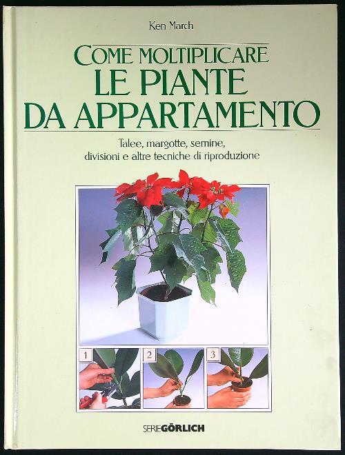 Come moltiplicare le piante d'appartamento