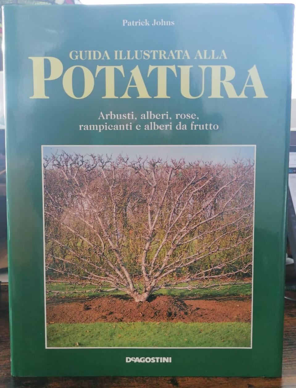 Libreria Volume Secondo