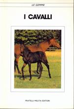 Cavalli