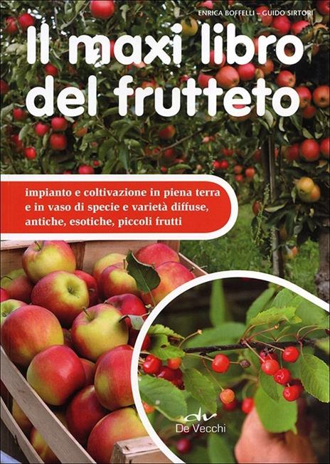 Il maxi libro del frutteto. Coltivazione in piena terra e in vaso - Enrica Boffelli,Guido Sirtori - copertina