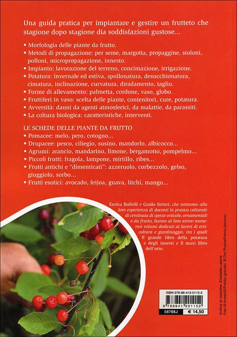 Il maxi libro del frutteto. Coltivazione in piena terra e in vaso - Enrica Boffelli,Guido Sirtori - 3